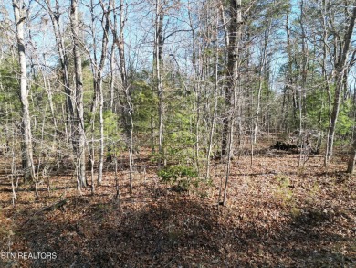 Discover a beautiful wooded slight slop, level lot in Lake Tansi on Lake Tansi Village Country Club in Tennessee - for sale on GolfHomes.com, golf home, golf lot