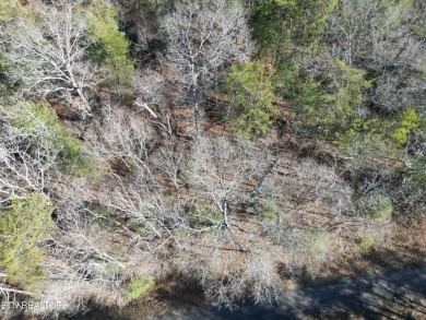Discover a beautiful wooded slight slop, level lot in Lake Tansi on Lake Tansi Village Country Club in Tennessee - for sale on GolfHomes.com, golf home, golf lot