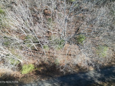 Discover a beautiful wooded slight slop, level lot in Lake Tansi on Lake Tansi Village Country Club in Tennessee - for sale on GolfHomes.com, golf home, golf lot