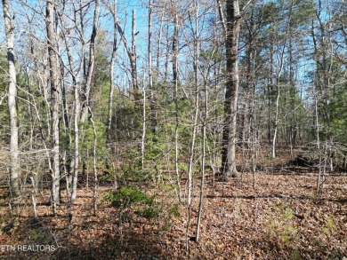 Discover a beautiful wooded slight slop, level lot in Lake Tansi on Lake Tansi Village Country Club in Tennessee - for sale on GolfHomes.com, golf home, golf lot