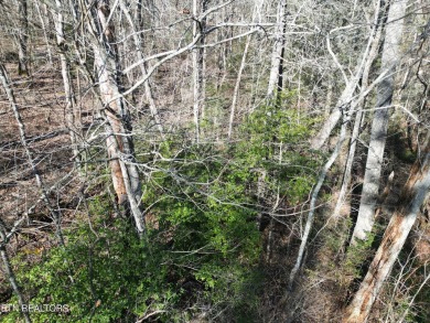 Discover a beautiful wooded corner lot slooped with on Lake Tansi Village Country Club in Tennessee - for sale on GolfHomes.com, golf home, golf lot