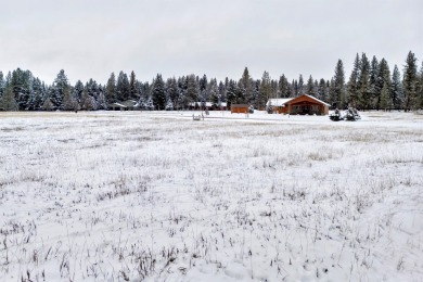 Located just outside the quaint town of Seeley Lake, this on Double Arrow Lodge in Montana - for sale on GolfHomes.com, golf home, golf lot