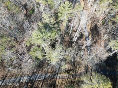 Discover a beautiful wooded corner lot slooped with on Lake Tansi Village Country Club in Tennessee - for sale on GolfHomes.com, golf home, golf lot