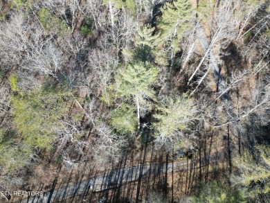 Discover a beautiful wooded corner lot slooped with on Lake Tansi Village Country Club in Tennessee - for sale on GolfHomes.com, golf home, golf lot