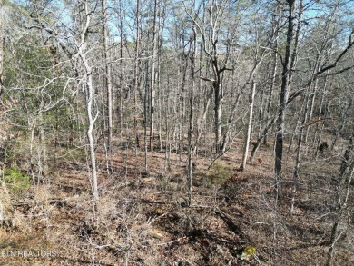 Discover a beautiful wooded corner lot in Lake Tansi Resort; on Lake Tansi Village Country Club in Tennessee - for sale on GolfHomes.com, golf home, golf lot