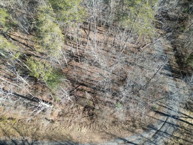 Discover a beautiful wooded corner lot in Lake Tansi Resort; on Lake Tansi Village Country Club in Tennessee - for sale on GolfHomes.com, golf home, golf lot