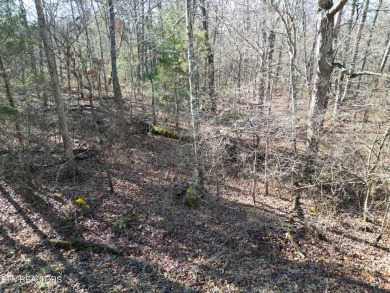 Discover a beautiful gently slopped, level wooded lot on a paved on Lake Tansi Village Country Club in Tennessee - for sale on GolfHomes.com, golf home, golf lot