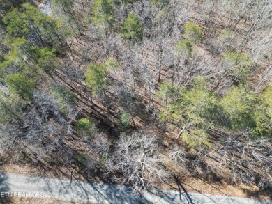 Discover a beautiful gently slopped, level wooded lot on a paved on Lake Tansi Village Country Club in Tennessee - for sale on GolfHomes.com, golf home, golf lot