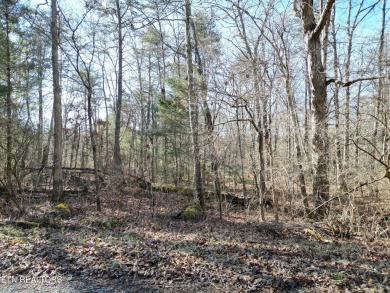 Discover a beautiful gently slopped, level wooded lot on a paved on Lake Tansi Village Country Club in Tennessee - for sale on GolfHomes.com, golf home, golf lot