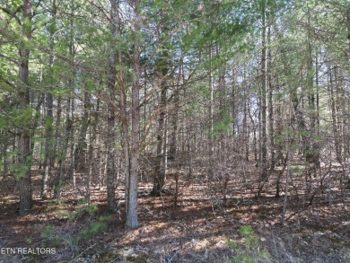 Discover a beautiful wooded lot in Lake Tansi Resort, with on Lake Tansi Village Country Club in Tennessee - for sale on GolfHomes.com, golf home, golf lot