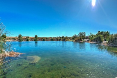 Turnkey Nightly Rental-Approved Home - Your Prime Investment on Coral Canyon Golf Course in Utah - for sale on GolfHomes.com, golf home, golf lot