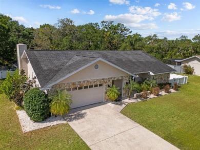 Under contract-accepting backup offers. Welcome to luxury living on East Lake Woodlands Country Club in Florida - for sale on GolfHomes.com, golf home, golf lot