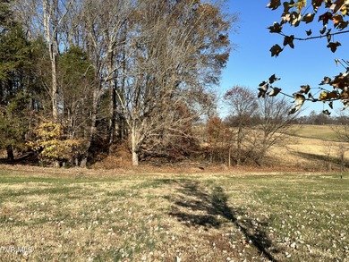 Nice flat lot in the Austin Pointe subdivision just right on Mc Donald Hills Golf Club in Tennessee - for sale on GolfHomes.com, golf home, golf lot