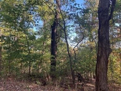 Very nice lot with a down slope for a beautiful view of the on Holiday Island Executive Golf Course in Arkansas - for sale on GolfHomes.com, golf home, golf lot