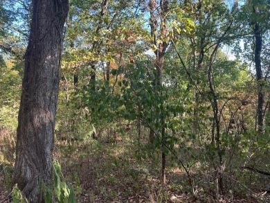 Very nice lot with a down slope for a beautiful view of the on Holiday Island Executive Golf Course in Arkansas - for sale on GolfHomes.com, golf home, golf lot