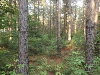 This lovely 53+- acres of pine timber is nestled along HWY 52 on Prairie Country Club in Arkansas - for sale on GolfHomes.com, golf home, golf lot