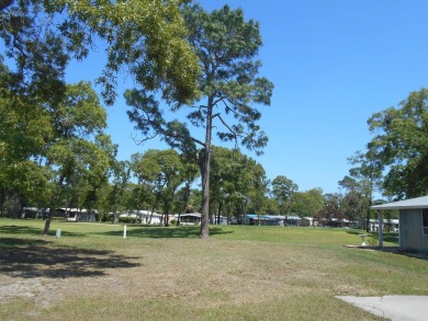 Rolling Greens Village is a friendly resort-style 55+ community on Rolling Greens Executive Golf Community in Florida - for sale on GolfHomes.com, golf home, golf lot