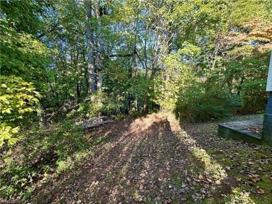 WHAT A GREAT OPPORTUNITY TO BUY LAND WITH POTENTIAL MOUNTAIN on Pilot Knob Park Country Club in North Carolina - for sale on GolfHomes.com, golf home, golf lot