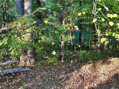 WHAT A GREAT OPPORTUNITY TO BUY LAND WITH POTENTIAL MOUNTAIN on Pilot Knob Park Country Club in North Carolina - for sale on GolfHomes.com, golf home, golf lot