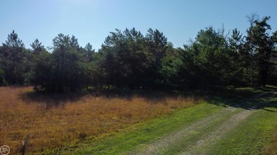 Prime Golf Frontage Lot on Forest Dunes.  Welcome to a truly on Forest Dunes Golf Club in Michigan - for sale on GolfHomes.com, golf home, golf lot