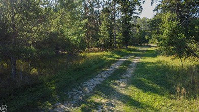 Prime Golf Frontage Lot on Forest Dunes.  Welcome to a truly on Forest Dunes Golf Club in Michigan - for sale on GolfHomes.com, golf home, golf lot