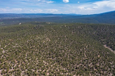This Lot Is Amazing! One of the Highest In San Pedro Creek With on Paa-Ko Ridge Golf Club  in New Mexico - for sale on GolfHomes.com, golf home, golf lot