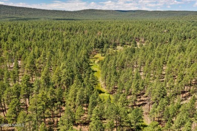 This is an exceptionally rare opportunity to own a true family on Forest Highlands Golf Club - The Canyon in Arizona - for sale on GolfHomes.com, golf home, golf lot