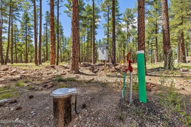 This is an exceptionally rare opportunity to own a true family on Forest Highlands Golf Club - The Canyon in Arizona - for sale on GolfHomes.com, golf home, golf lot