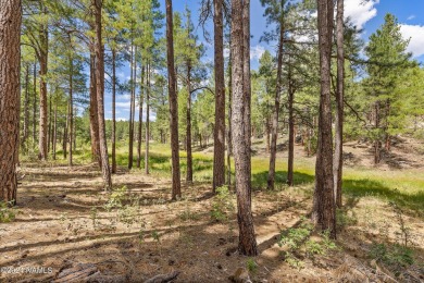 This is an exceptionally rare opportunity to own a true family on Forest Highlands Golf Club - The Canyon in Arizona - for sale on GolfHomes.com, golf home, golf lot