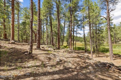 This is an exceptionally rare opportunity to own a true family on Forest Highlands Golf Club - The Canyon in Arizona - for sale on GolfHomes.com, golf home, golf lot