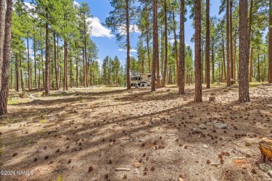 This is an exceptionally rare opportunity to own a true family on Forest Highlands Golf Club - The Canyon in Arizona - for sale on GolfHomes.com, golf home, golf lot