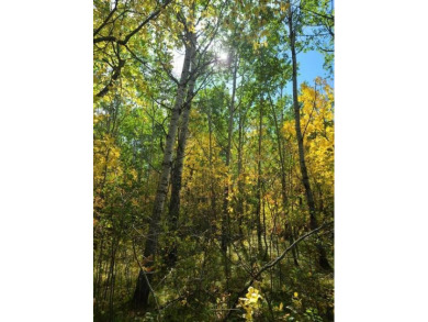 Here is an opportunity to own 3 lots in the Birchwood Heights on Birchwood Golf Course in North Dakota - for sale on GolfHomes.com, golf home, golf lot
