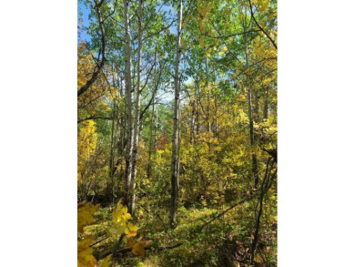 Here is an opportunity to own 3 lots in the Birchwood Heights on Birchwood Golf Course in North Dakota - for sale on GolfHomes.com, golf home, golf lot