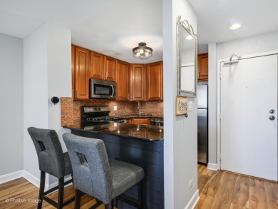 This beautifully updated 2-bed, 2-bath condo offers modern on Sydney R. Marovitz Golf Course in Illinois - for sale on GolfHomes.com, golf home, golf lot