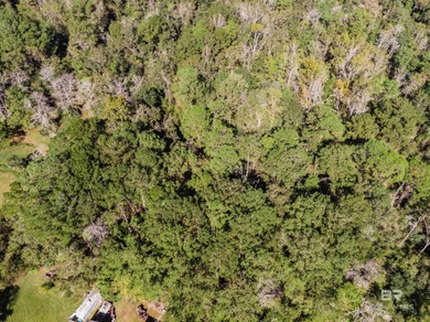 **BOM Pending Release of Sale** 4.5 acres with So many on Cypress Country Club and Golf Club  in Alabama - for sale on GolfHomes.com, golf home, golf lot