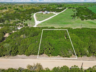 Own a piece of land right inside this exclusive private gated on White Bluff Resort - New Course in Texas - for sale on GolfHomes.com, golf home, golf lot