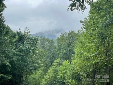 Cherry Hill rises just far enough over the land below to open up on Brights Creek Golf Course in North Carolina - for sale on GolfHomes.com, golf home, golf lot