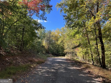 Acreage on the lake! Including 7 3/4 (+/-) acres, over 1100 feet on Chattahoochee Golf Course in Georgia - for sale on GolfHomes.com, golf home, golf lot