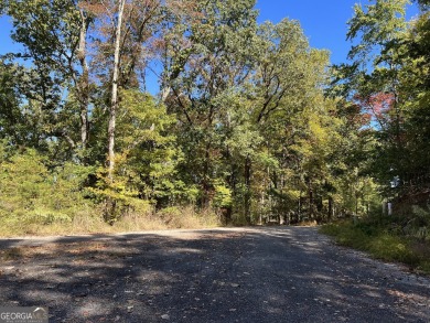 Acreage on the lake! Including 7 3/4 (+/-) acres, over 1100 feet on Chattahoochee Golf Course in Georgia - for sale on GolfHomes.com, golf home, golf lot