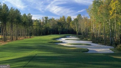 New Home and a Lake Lot. This amazing full-basement ranch home t on The Frog Golf Club in Georgia - for sale on GolfHomes.com, golf home, golf lot