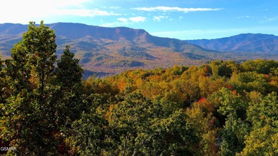 Discover the perfect canvas for your Smoky Mountains dream at on Bent Creek Golf Course in Tennessee - for sale on GolfHomes.com, golf home, golf lot