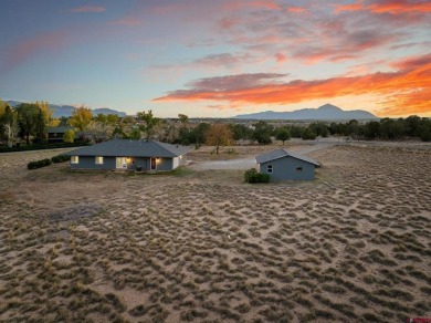 JaCee Apple, Keller Williams Colorado West Realty, C: on Conquistador Golf Course in Colorado - for sale on GolfHomes.com, golf home, golf lot