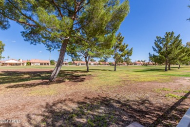 Lovely custom Palacia floor plan on golf course in Palo Verde on Palo Verde Golf and Country Club in Arizona - for sale on GolfHomes.com, golf home, golf lot