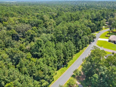 Build Your Dream Home in Golden Eagle - Nature at Your Back on Golden Eagle Country Club in Florida - for sale on GolfHomes.com, golf home, golf lot