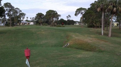 This 1988 offset double-wide home can fulfill your dreams of on Spanish Lakes Country Club in Florida - for sale on GolfHomes.com, golf home, golf lot