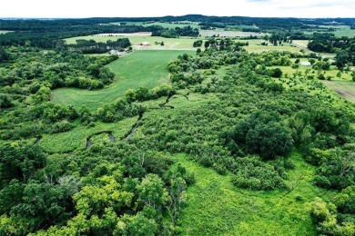 Build, Hunt, Farm! This 29.03 +/- acres is just that. With the on Pine Crest Golf Course in Wisconsin - for sale on GolfHomes.com, golf home, golf lot