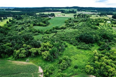 Build, Hunt, Farm! This 29.03 +/- acres is just that. With the on Pine Crest Golf Course in Wisconsin - for sale on GolfHomes.com, golf home, golf lot