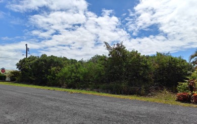 Imagine waking up each morning to breathtaking views of the vast on Discovery Harbour Golf Course in Hawaii - for sale on GolfHomes.com, golf home, golf lot