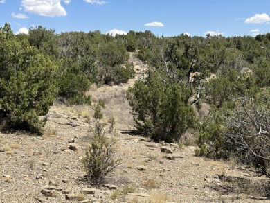 Top of the hill lot in the San Pedro Creek Estates community on Paa-Ko Ridge Golf Club  in New Mexico - for sale on GolfHomes.com, golf home, golf lot