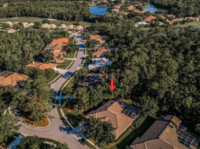 Under contract-accepting backup offers. Exquisite Luxury Retreat on Tarpon Woods Golf Club in Florida - for sale on GolfHomes.com, golf home, golf lot